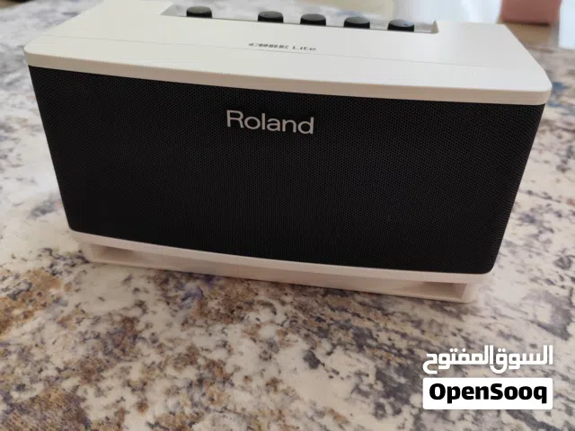 Roland Cube Lite