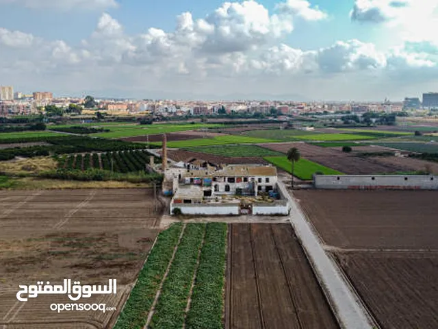 For Sale Exclusive Commercial Land In Al Warsan On The Main Road على الطريق الرئيسي للبيع ارض تجارية