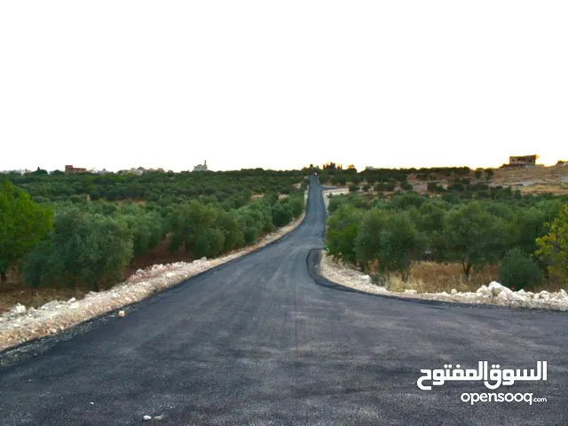 Residential Land for Sale in Amman Husban