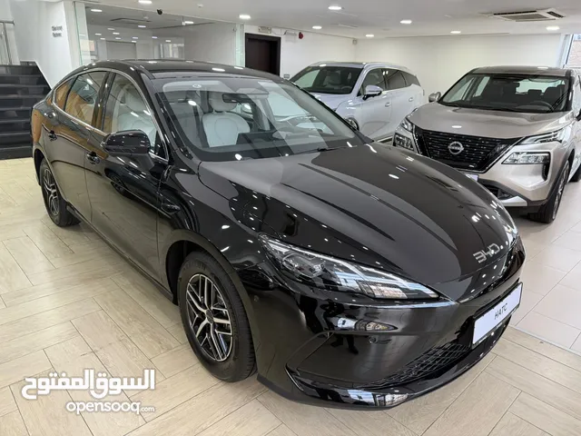 2025, بي واي دي, سيل