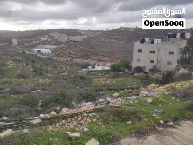 قطعة أرض في سردا