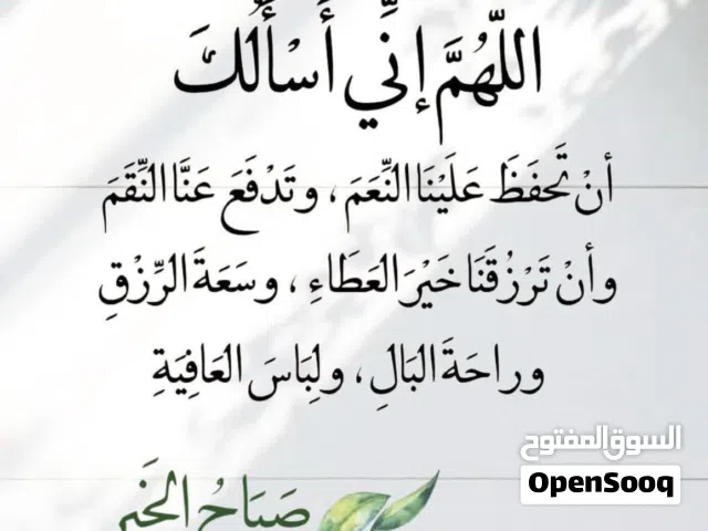 مطلوب ارانب لاحم للذبح