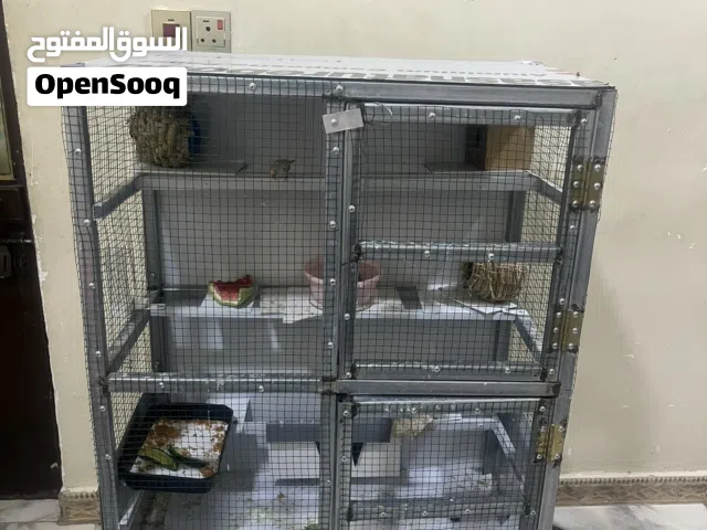 فناجس اثنين نثيه وذكر
