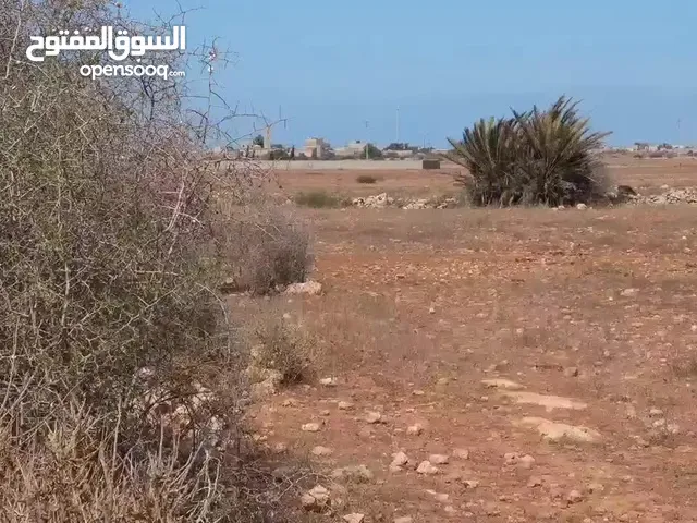 ارض محفظة للبيع قرب مولاي عبد الله امغار طريق الفحص