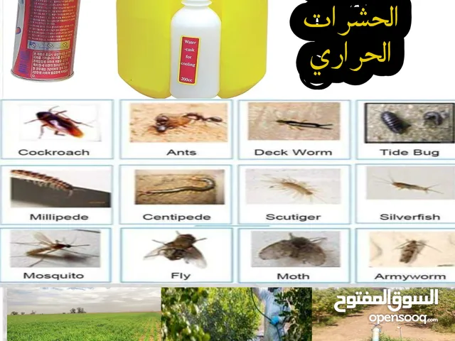 جهاز مكافحة الحشرات الحراري من الشركة العالمية Lgnition الكوريه