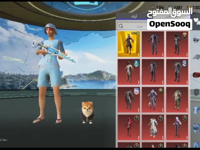 Pubg Accounts and Characters for Sale in Amman