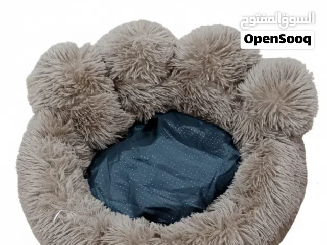 بيت قطط وكلاب