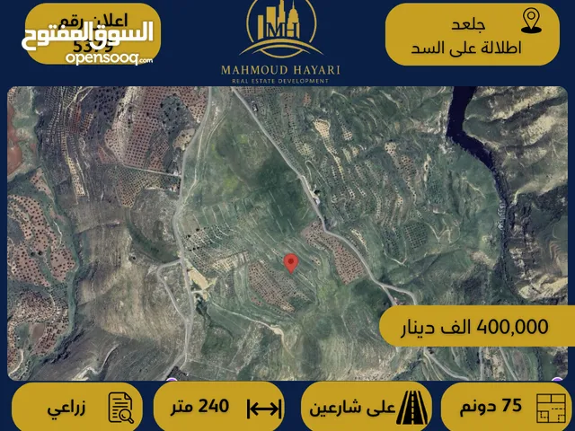 رقم الإعلان: 5379 أرض زراعية مميزة للبيع – جلعد / إطلالة مباشرة على السد