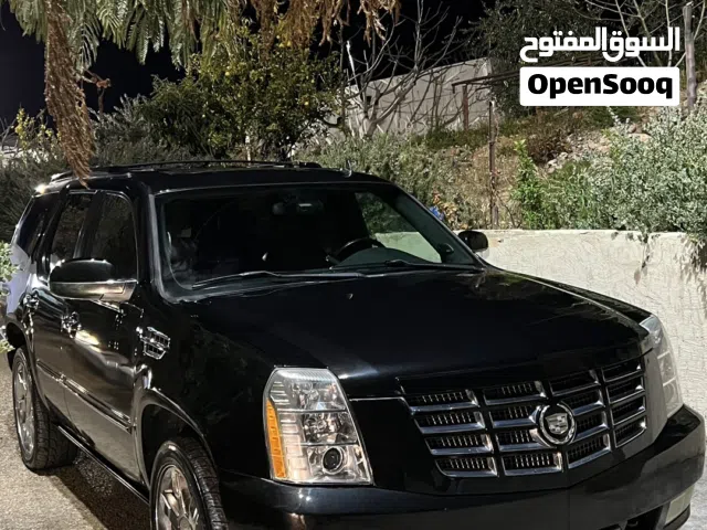 2009 كاديلاك اسكاليد Premium