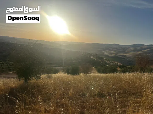 Farm Land for Sale in Zarqa Al-Alouk