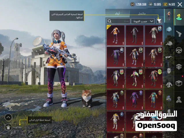 Pubg Accounts and Characters for Sale in Al Dhahirah