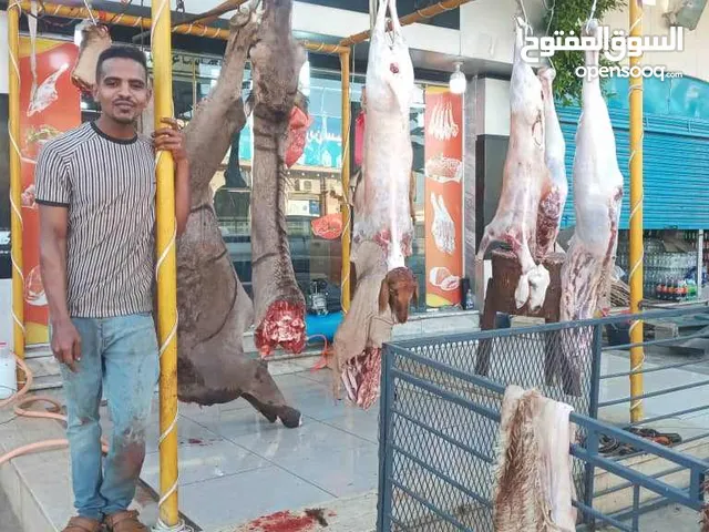 السلام عليكم ورحمة الله وبركاته يوجد جزار للاضحيه امين جدا لتوصيل