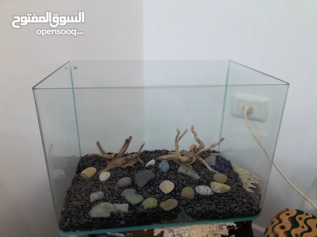 حوض سمك كريستال