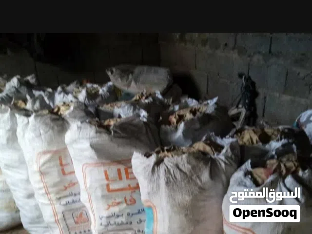 فحم زيتون للبيع