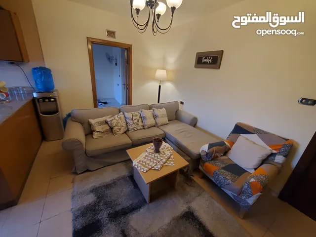 مطلوب شريك سكن لشقة مفروشة في عبدون