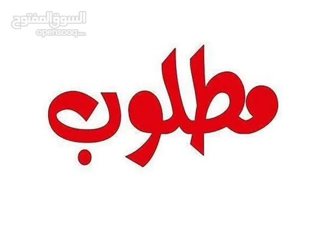 مطلوب إيجار منزل