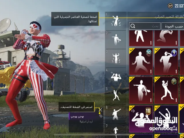 Pubg Accounts and Characters for Sale in Basra