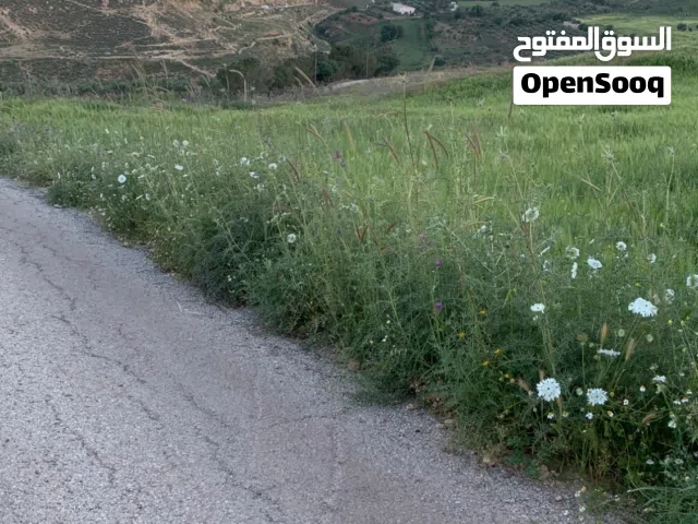 ارض في جلعد السلط مميزه بسعر مناسب جدا
