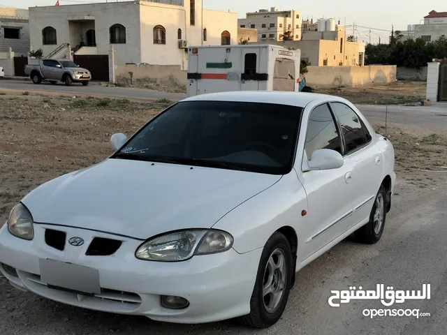 Used Hyundai Avante in Amman