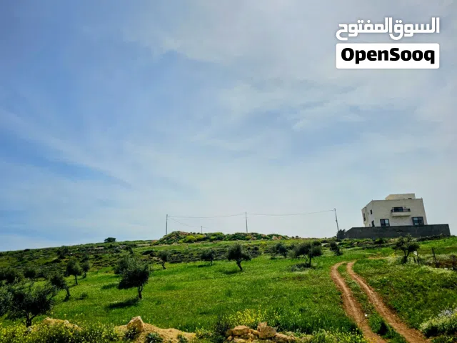 Residential Land for Sale in Amman Shafa Badran