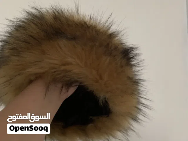 باروكا حبيب