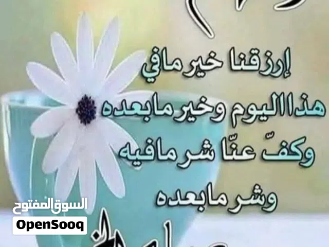 اسط بناء وسقف وزواق  سراميك