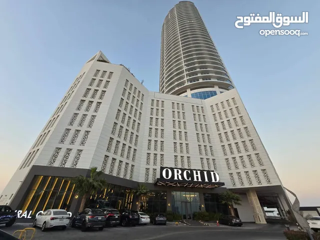 استوديو للايجار مفروش شامل الكهرباء في السيف برج Spiral Orchid Residence