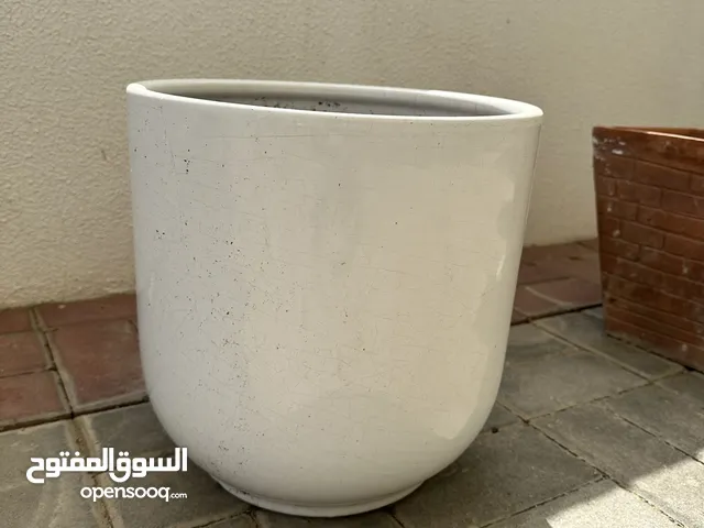 Flower pot with plants