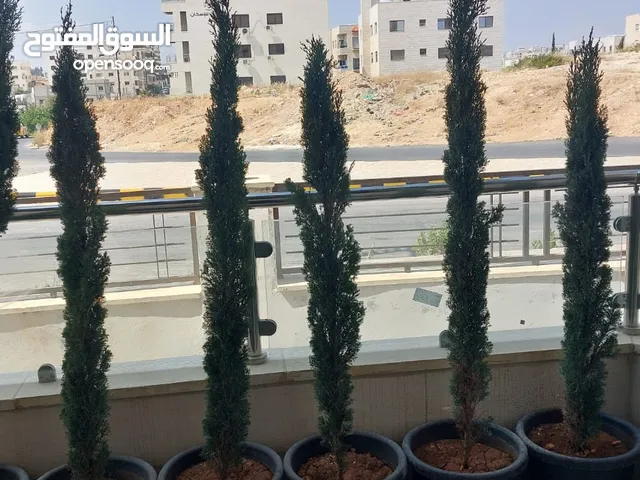 شجار طبيعي