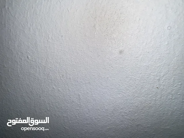 مشروع دجاج شريك