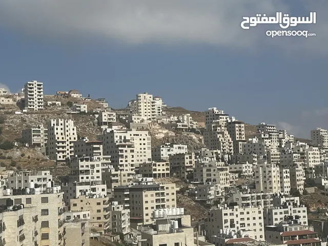 شقة للبيع كاش في نابلس شارع فطاير بسعر 60 ألف دينار كاش
