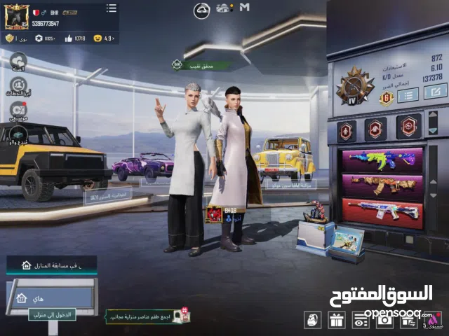 Pubg Accounts and Characters for Sale in Northern Governorate