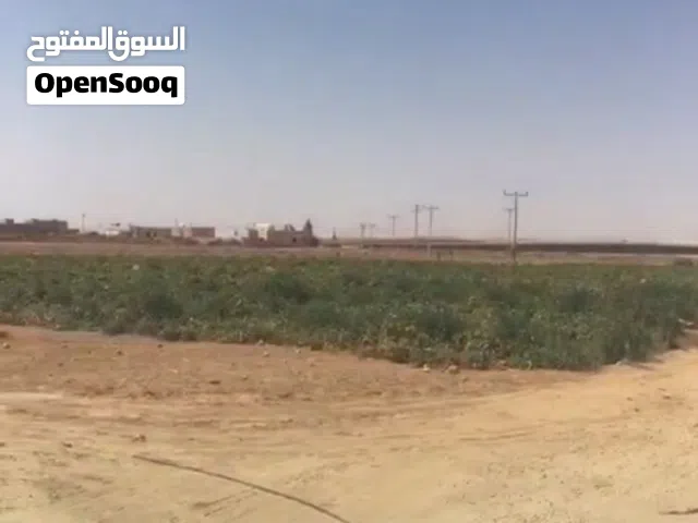 Residential Land for Sale in Mafraq Al-Dafyana
