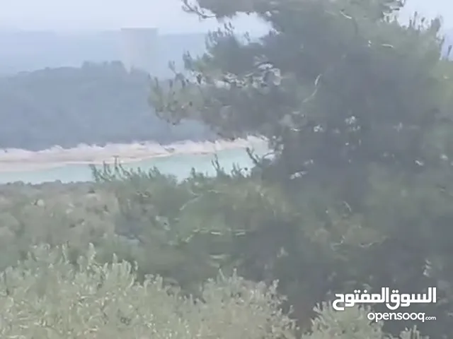 Mixed Use Land for Sale in Latakia Other