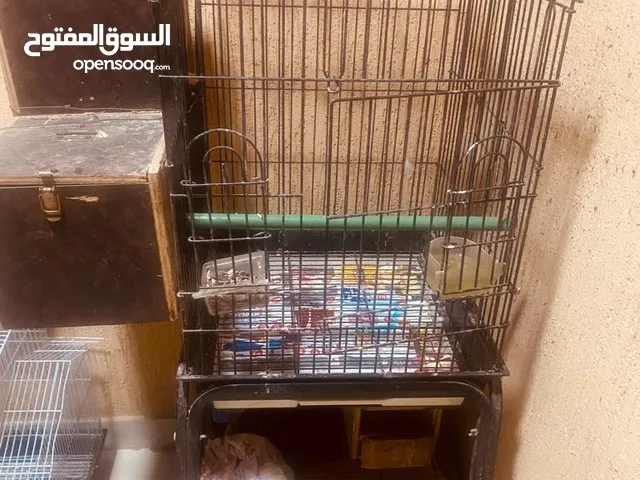 cage with breeding box 170