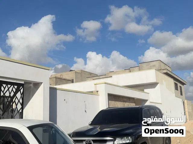 2025 رينو اخرى