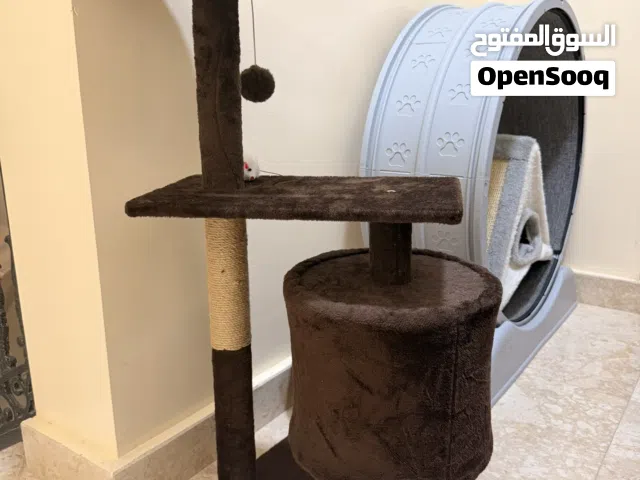 Cat Tree House