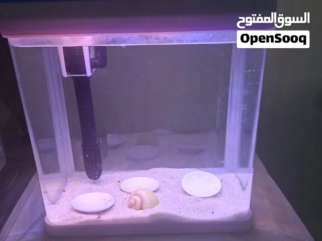 small tank for sale