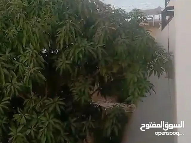 شالية قرية فايد السياحية