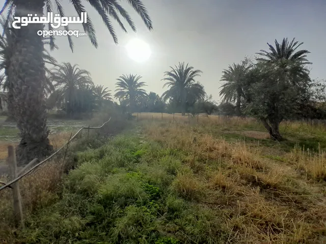 Residential Land for Sale in Zawiya Other