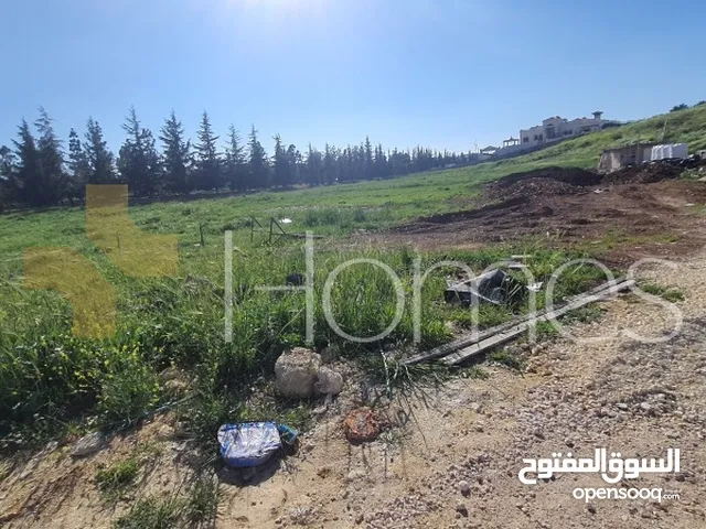 Residential Land for Sale in Amman Dabouq