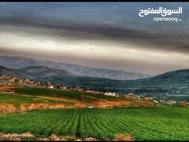 فرصتك الان للاستثمار في طلوزة قرب شلالات الباذان ارض كوشان مستقل صادر عن سلطة الاراضي  ,,,, تصنيف A
