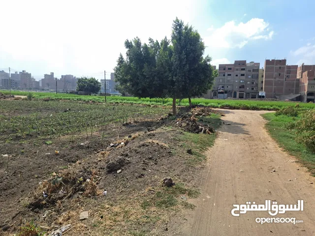 Mixed Use Land for Sale in Dakahlia Mit Ghamr