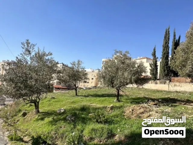 Residential Land for Sale in Amman Marj El Hamam