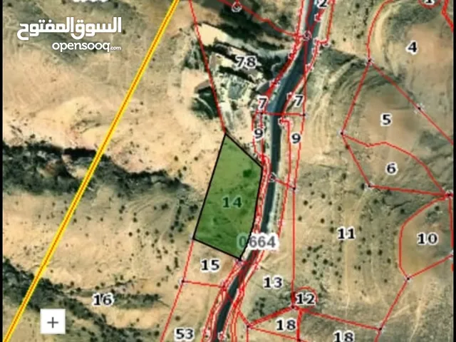 Commercial Land for Sale in Ma'an Petra