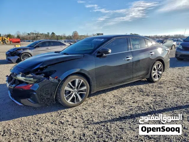 مكسيما 2019 SV الشكل الجديد