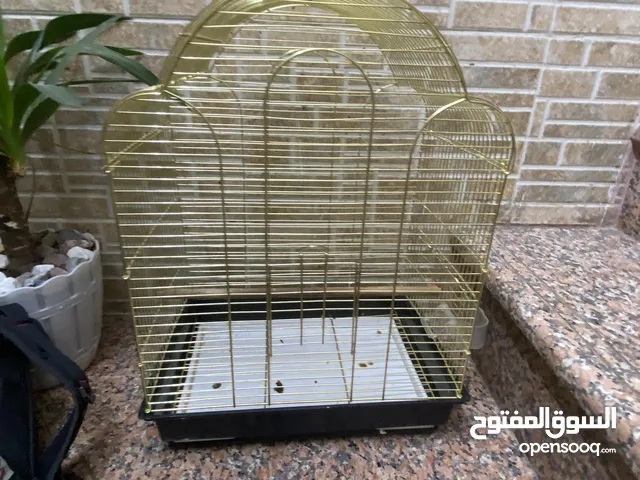قفص دره نضيف كلش اخو لجديد ستدام قليل كلش