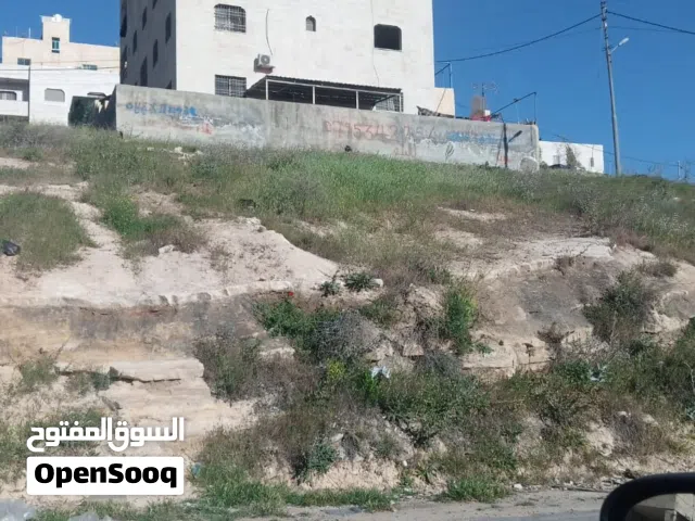 قطعه ارض للبيع لقطه