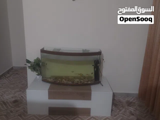 حوض سمك كبير للبيع