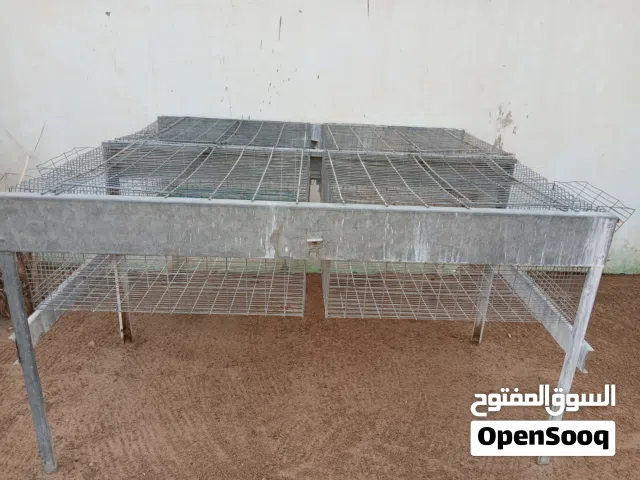 فقاصة 300 بيضة +حضانة ارانب  للبيع ...